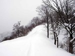0204.1.jpg