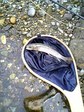 070410.jpg