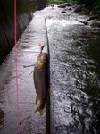 070531.1.jpg