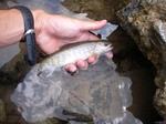 070612.1.jpg