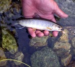 070612.10.jpg