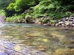 070612.2.jpg