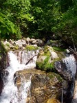 070612.5.jpg