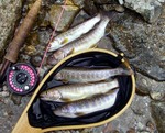 070628.2.jpg