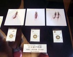 070701.1.jpg