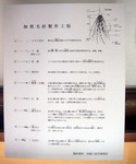 070701.1.jpg