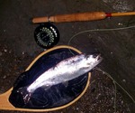 070707.3.jpg