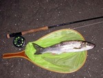 070712.jpg