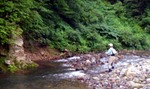 070806.1.jpg