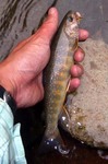 070806.14.jpg