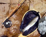 070806.9.jpg