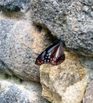 070904.a.jpg