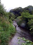 070925.3.jpg