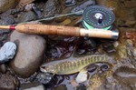 070929.3.jpg