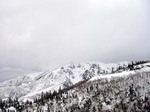 071120.1.jpg