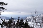 071120.2.jpg