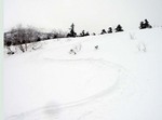 071120.3.jpg