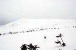 07331.1.jpg