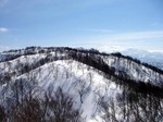 080229.3.jpg