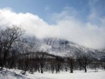 080411.10.jpg