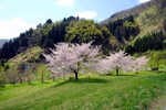 080420.2.jpg