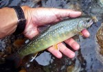 080608.6.jpg