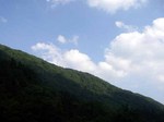 080610.4.jpg