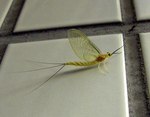 080616.10.jpg
