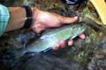 080616.9.jpg