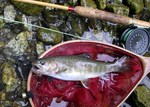 080626.1.jpg