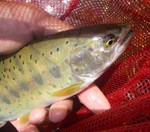 080626.6.jpg