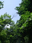 080702.2.jpg