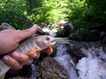080702.3.jpg