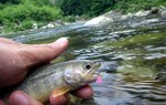 080702.7.jpg