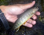 080705.jpg