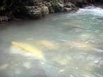 080710.6.jpg