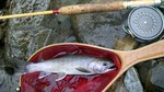 080713.7.jpg