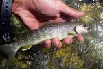 080723.2.jpg