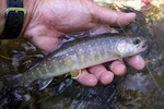 080803.1.jpg