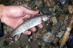 080808.jpg