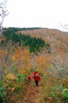 081026.3.jpg