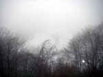 081225.3.jpg
