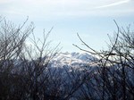 090108.2.jpg