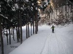 090222.1.jpg