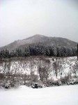 090326.2.jpg