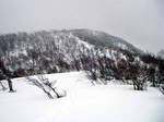 090326.8.jpg