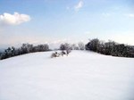090328.5.jpg