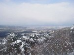 090328.6.jpg