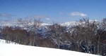 090330.10.jpg