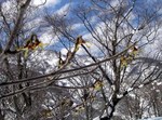 090330.13.jpg